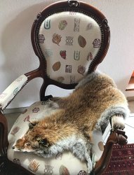 Decor aus einheimischem Rotfuchs